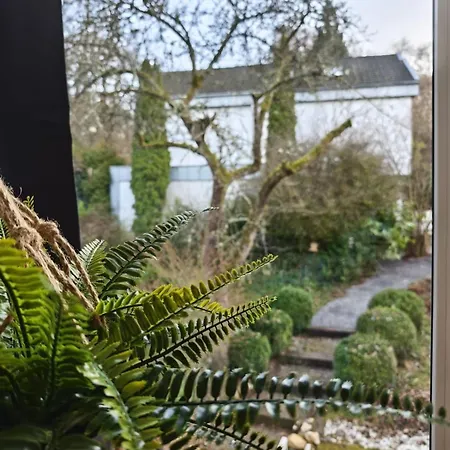 Xl Eifel House Fuer 14 Gaeste Mit Whirlpool, Wintergarten, Mehreren Terrassen Und Balkone Sowie Grossen Garten Lejlighed Schleiden